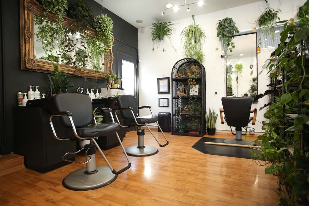 006-Salon-FringeandFern20200811.jpg