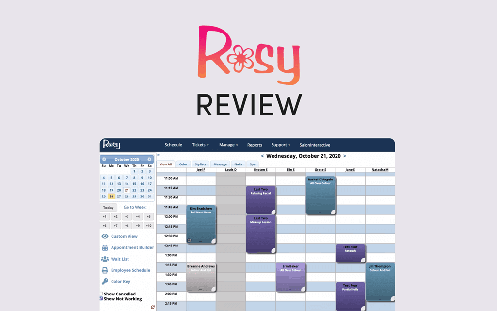 Rosy Salon Software Review 